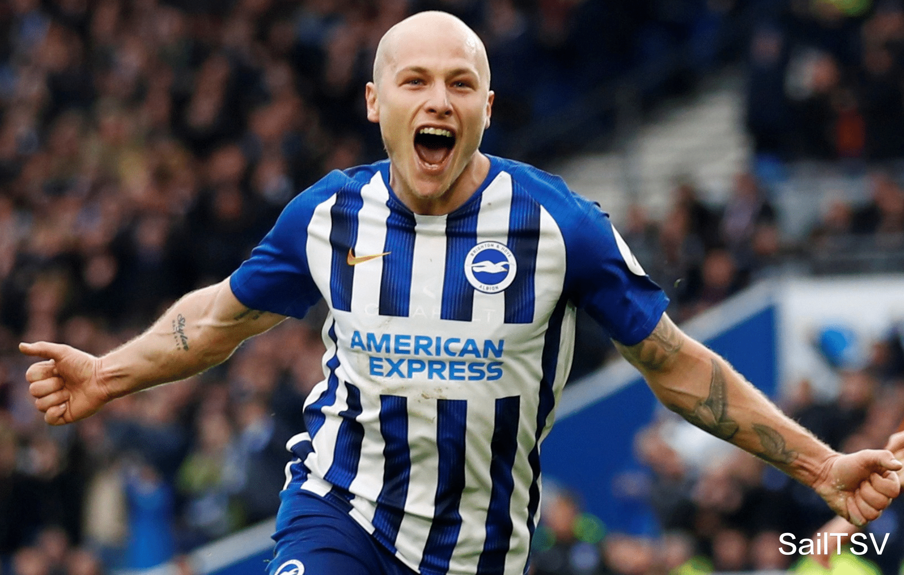 nba布鲁克林篮网